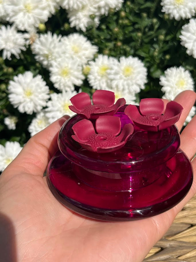 Red flower-shaped hummingbird feeder held in a hand with white flowers in the background