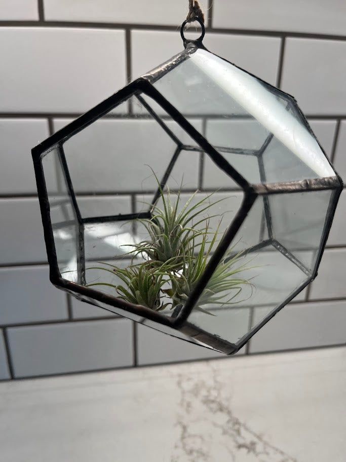 hanging plant terrarium Hanging Glass Terrarium - Hexagon