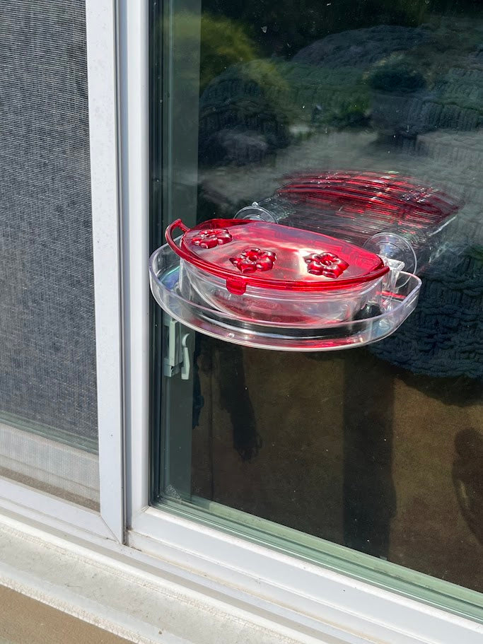 Red hummingbird feeder attached to a glass window with greenery in the background