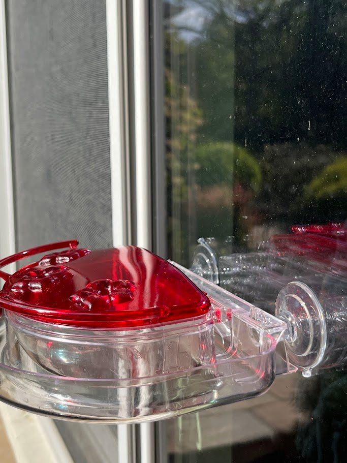 Red hummingbird feeder attached to a glass window with greenery in the background