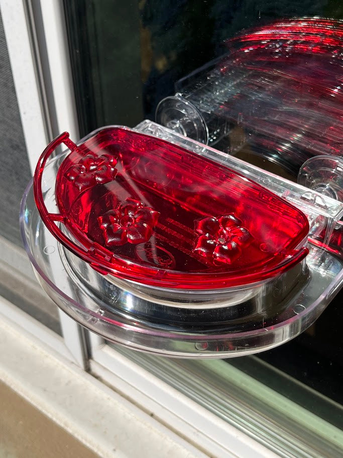 Red hummingbird feeder attached to a glass window with greenery in the background