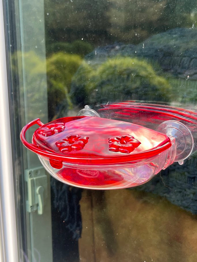 Red hummingbird feeder attached to a glass window with greenery in the background