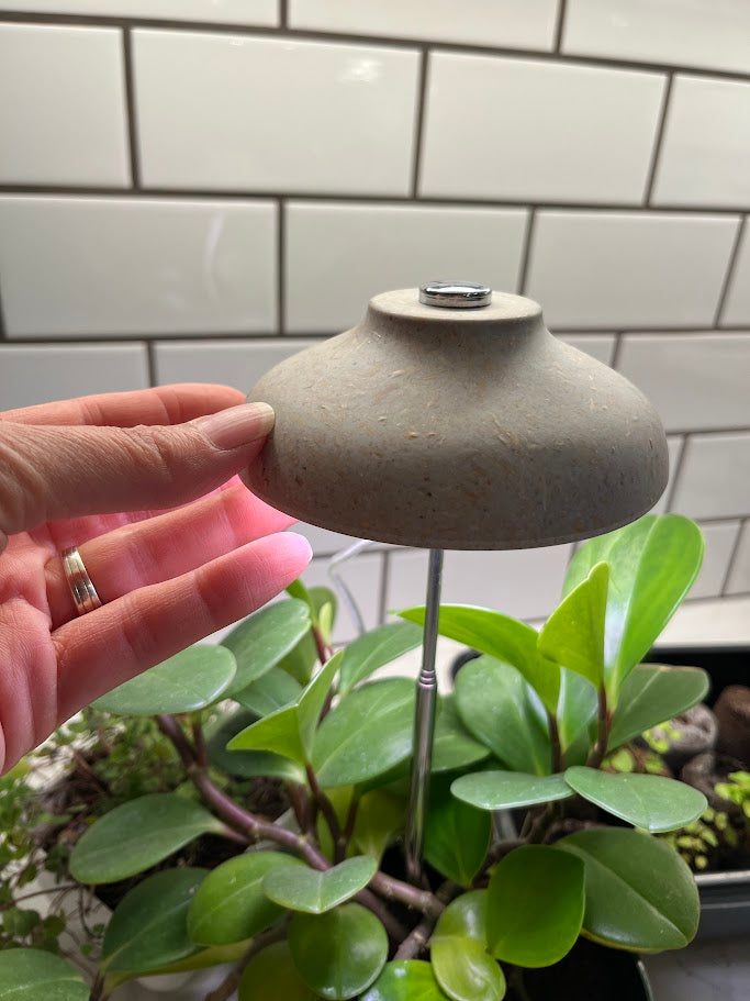 Small lamp with a white bulb inside a pot of green plants against a tiled wall.