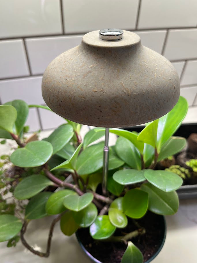 Small lamp with a white bulb inside a pot of green plants against a tiled wall.