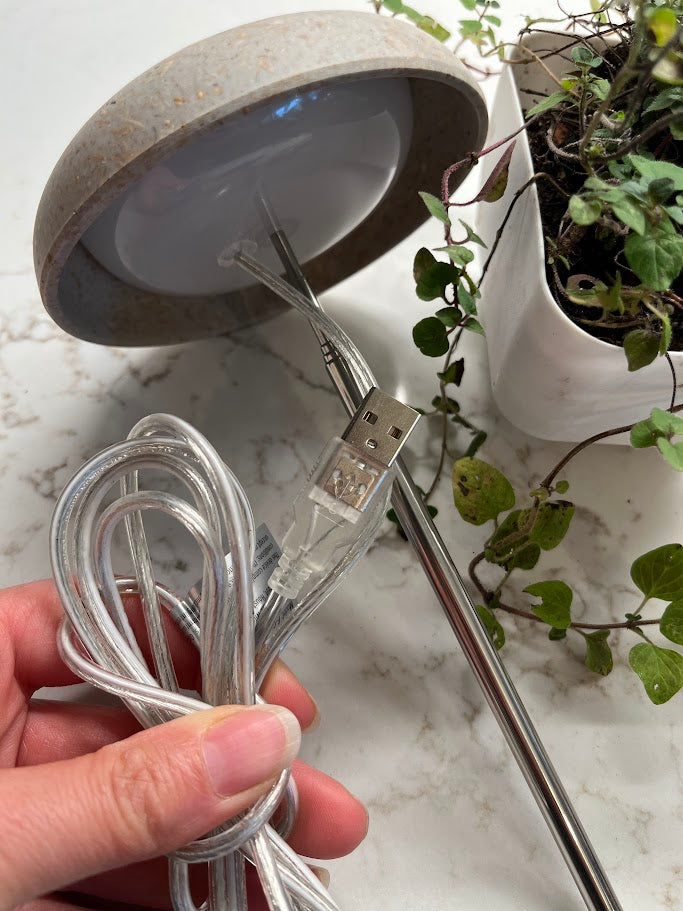 Small lamp with a white bulb inside a pot of green plants against a tiled wall.
