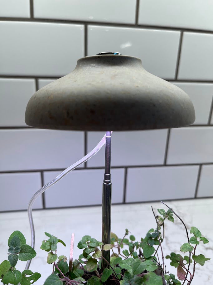 Small lamp with a white bulb inside a pot of green plants against a tiled wall.