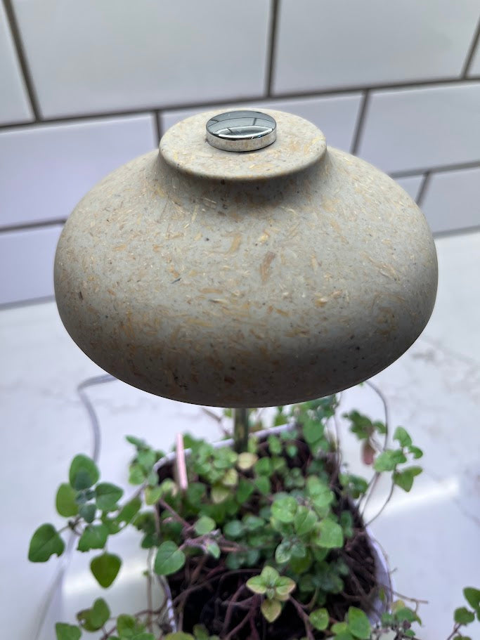Small lamp with a white bulb inside a pot of green plants against a tiled wall.