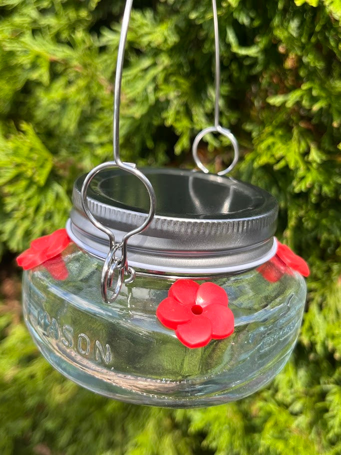 Glass mason jar hummingbird feeder with green foliage background