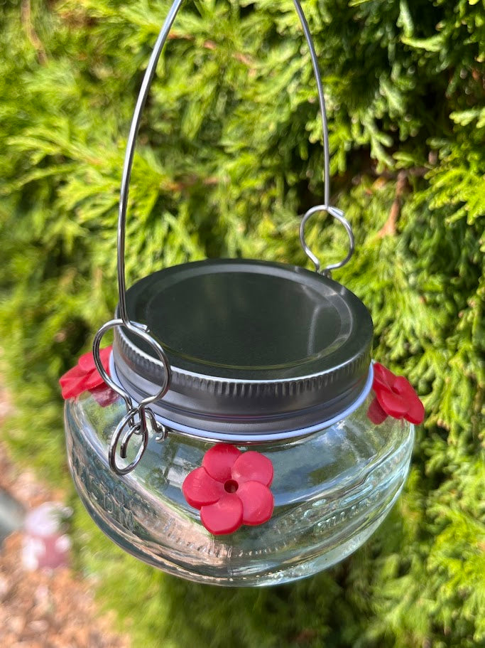 Glass mason jar hummingbird feeder with green foliage background