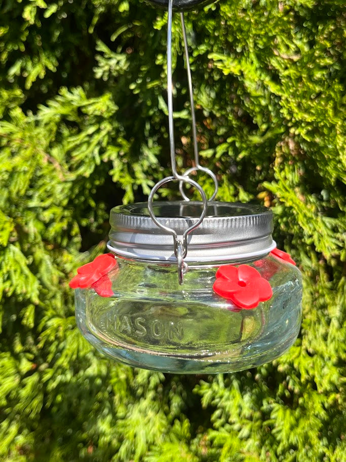 Glass mason jar hummingbird feeder with green foliage background