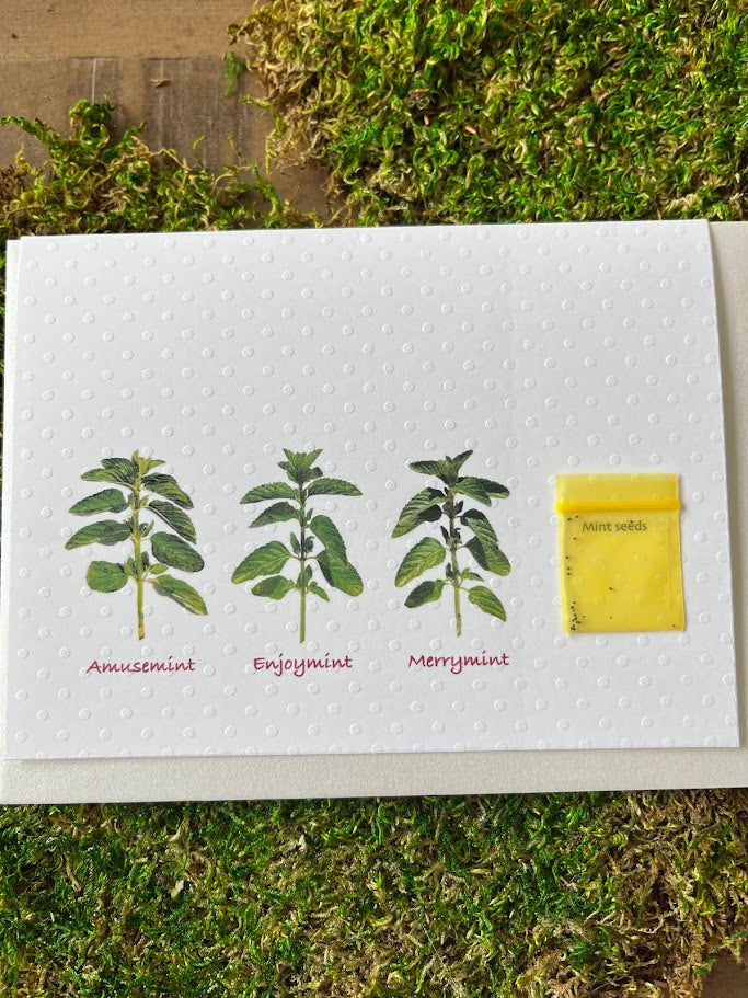 Handmade Happy Birthday Greeting Card - Mint