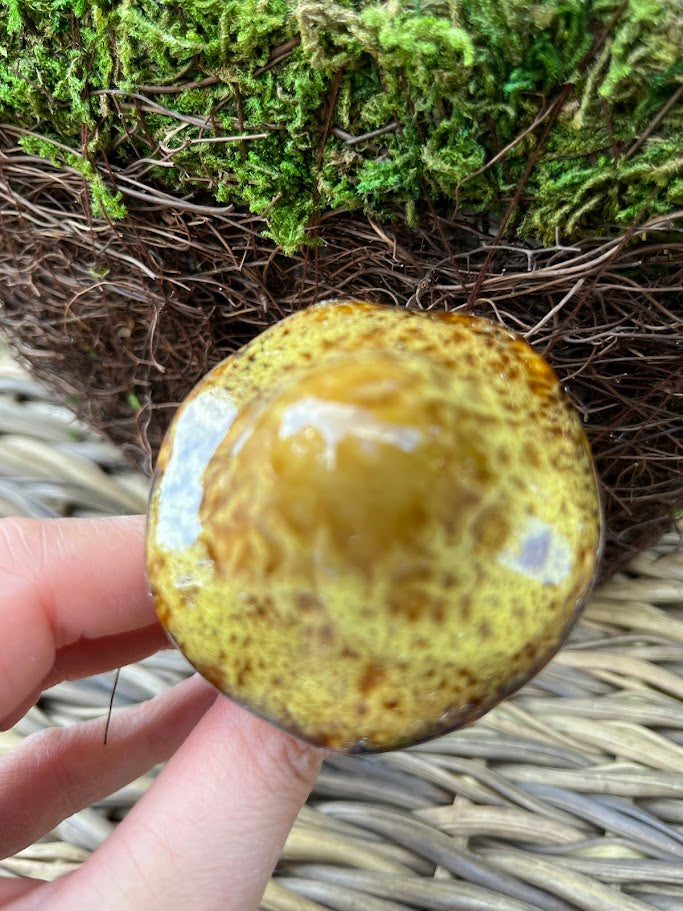 Yellow mushroom held by a hand with a natural background