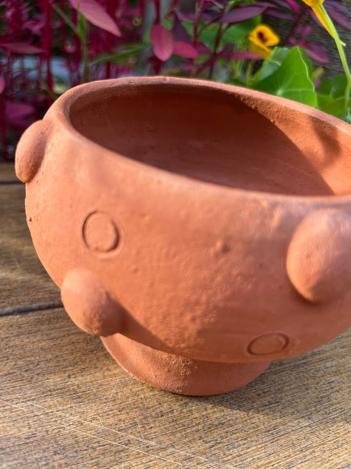 Terra cotta pot shaped like a mushroom on a wooden surface with flower in background.