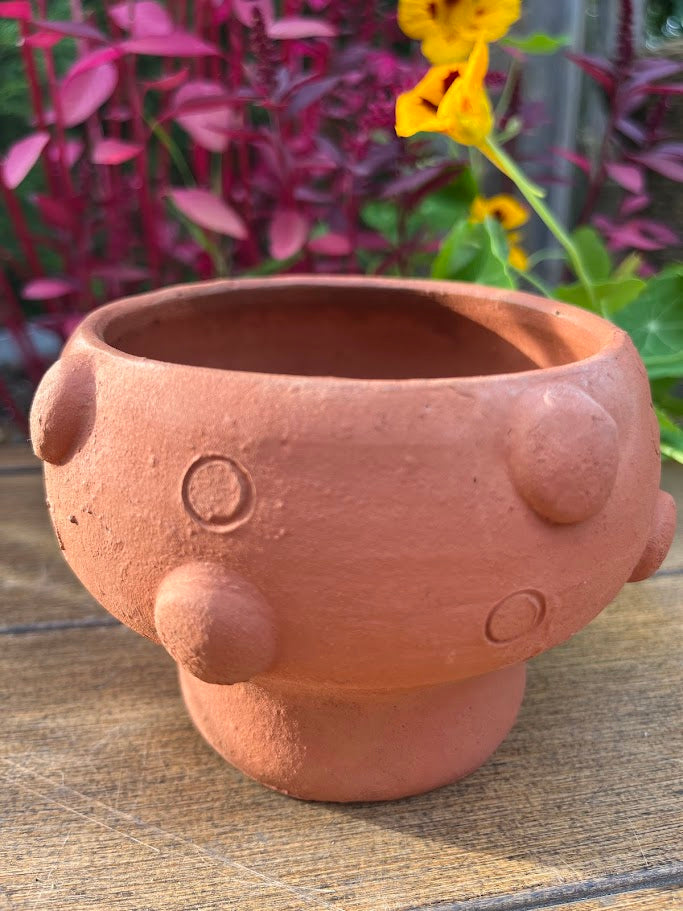 Terra cotta pot shaped like a mushroom on a wooden surface with flower in background.
