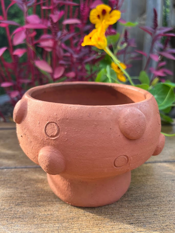 Terra cotta pot shaped like a mushroom on a wooden surface with flower in background.