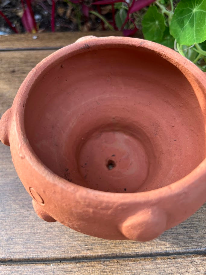 Terra cotta pot shaped like a mushroom on a wooden surface with flower in background.