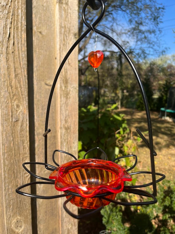 Oriole Feeder Dish  for Jelly & Oranges against wood and greenery background