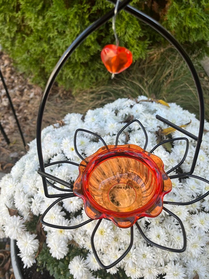 Decorative bird feeder with orange center and black metal frame hanging against a natural background.