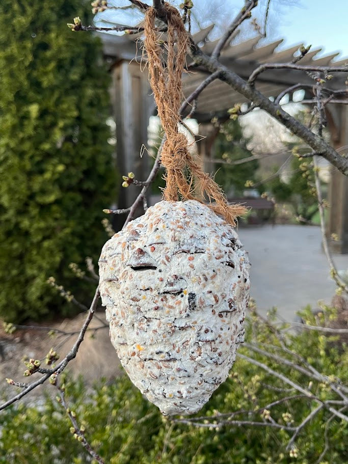 Textured bird feeder hanging from a branch with a blurred outdoor background