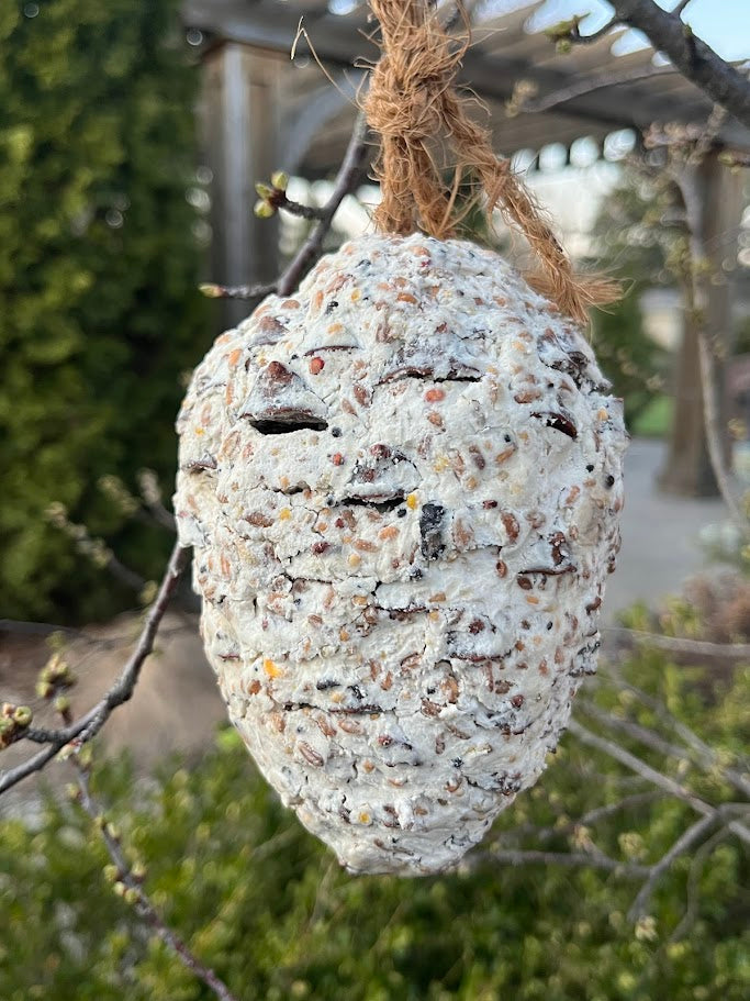 Birdseed ornament shaped like an acorn hanging on a branch with a blurred garden background