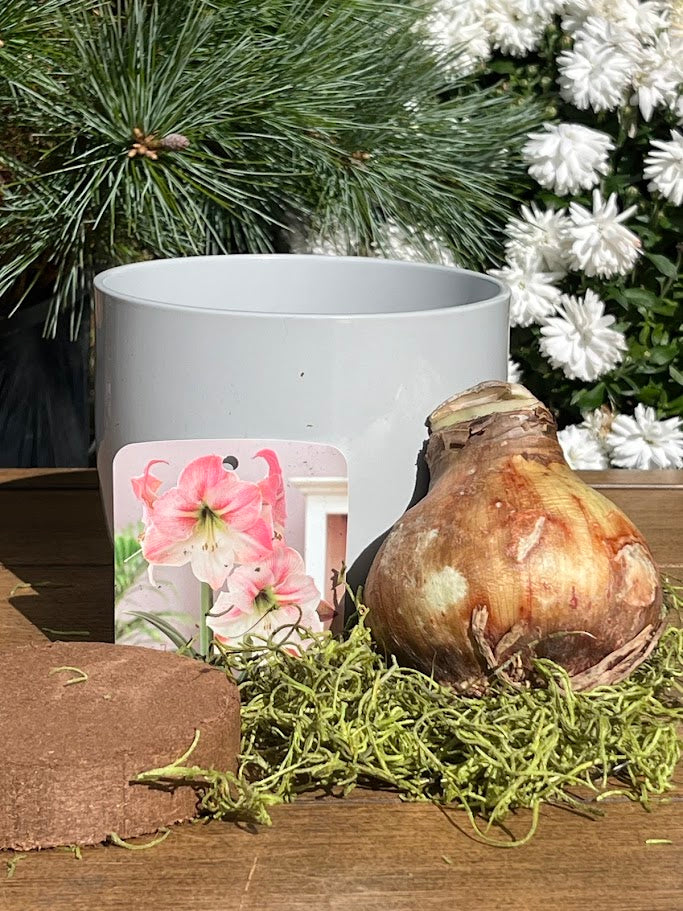 White planter with decorative bulb and card on a wooden surface with greenery in the background