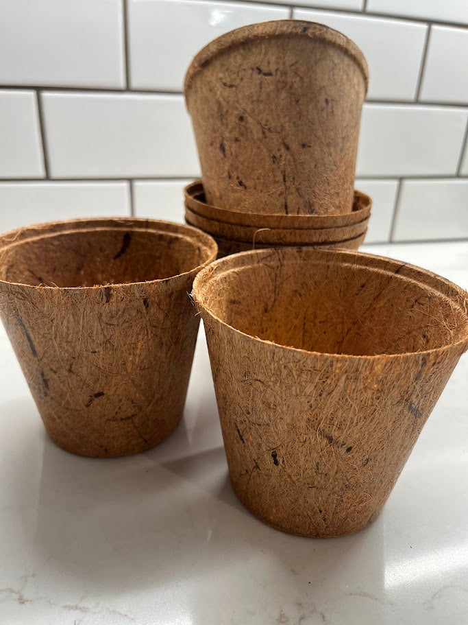 Three brown biodegradable plant pots on a white surface with a tiled wall background