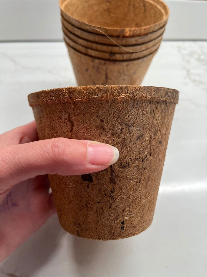 Hand holding a coir pot with more pots stacked in the background on a white surface