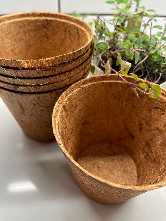 Stack of coconut fiber pots on a white surface with green plants in the background.