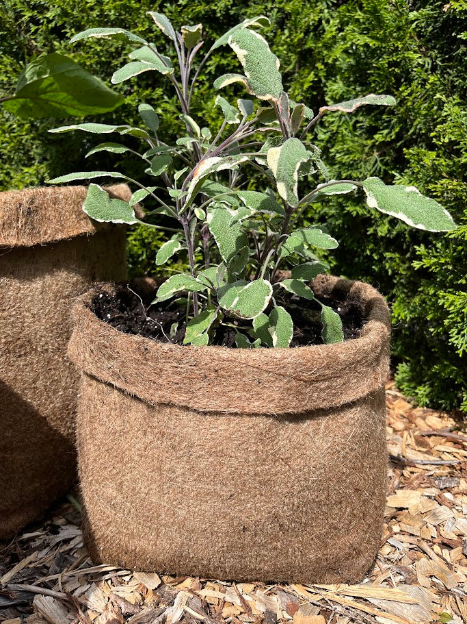 plant pot sacks 20L Hemp Fibre Planter