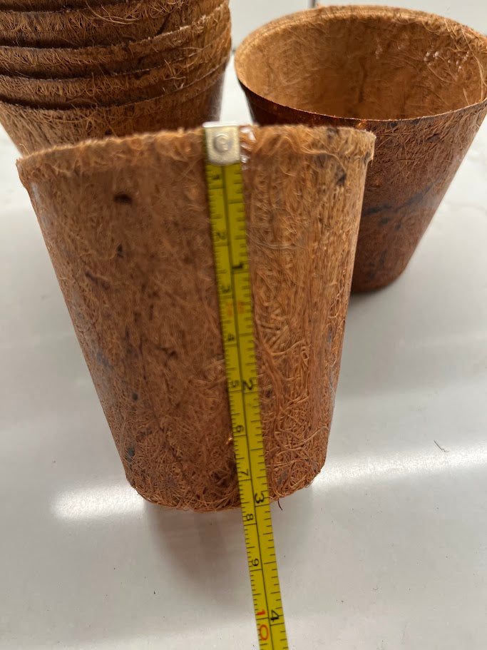 Coconut coir pots with a measuring tape for scale on a white background
