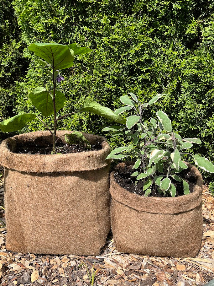 Hemp Planters Grow Bags - Main Image