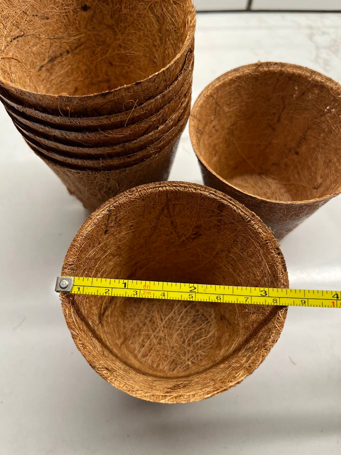 Coconut coir pots with a measuring tape for size reference on a white surface