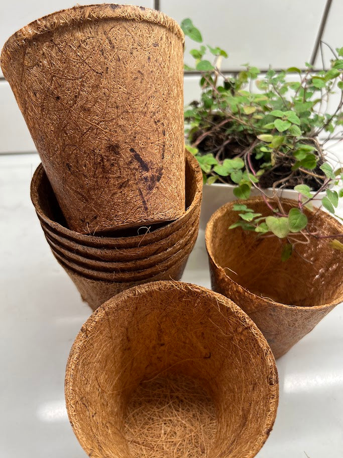 Stack of brown coir pots with a small plant in the background