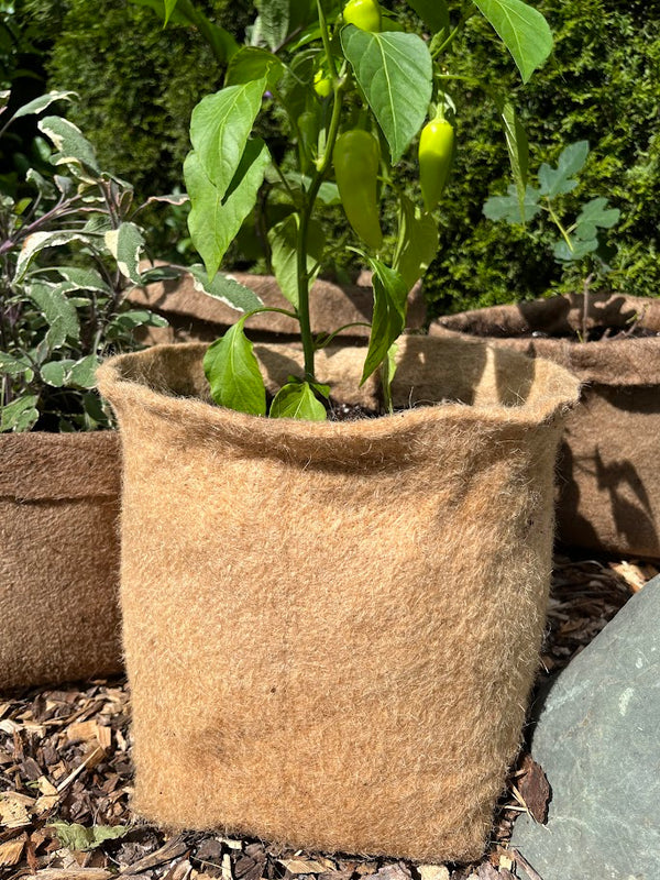 jute grow bags for plants Hemp Planters - Grow Bags
