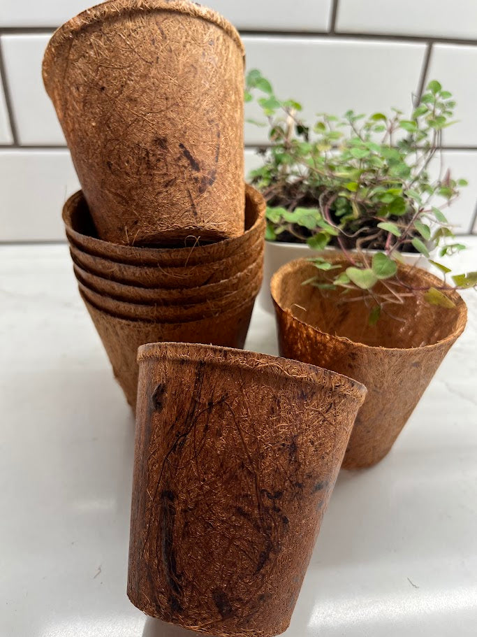 Stack of brown biodegradable pots on a white surface with a small plant in the background.