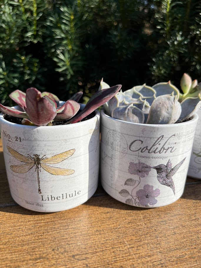 Two plant pots with decorative designs and text on a wooden surface.
