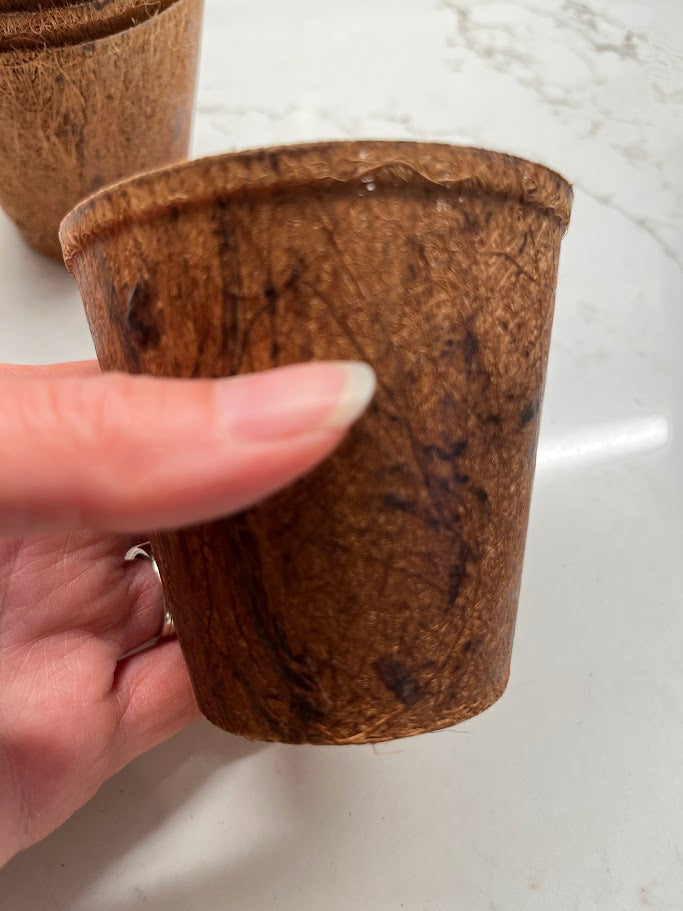Hand holding a small brown coir pot on a white surface