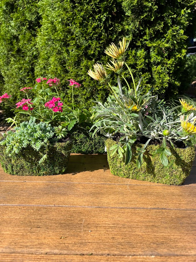 plant rectangular pots Rectangular Basket Planters