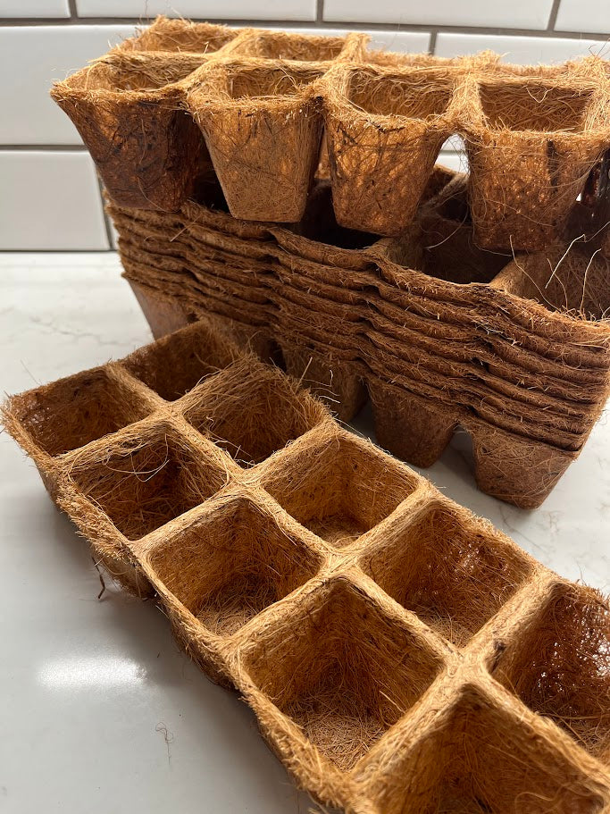 Bamboo seedling pots on a white surface with a tiled wall background