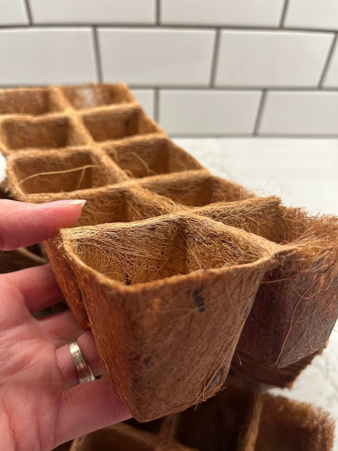 Hand holding a biodegradable seedling tray against a tiled wall background