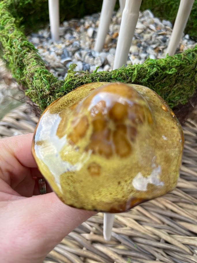 Hand holding a decorative mushroom with a natural background