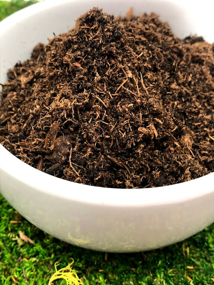 potting mix for terrariums Terrarium Soil