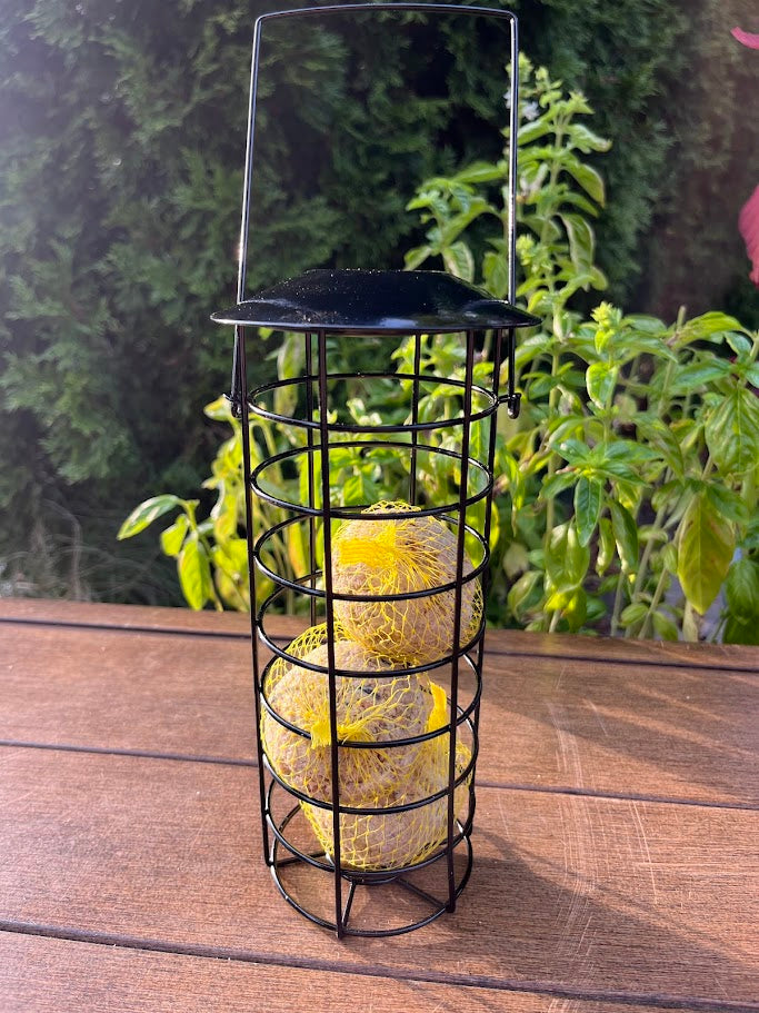 Black metal bird feeder with yellow suet balls on a wooden surface with green foliage in the background