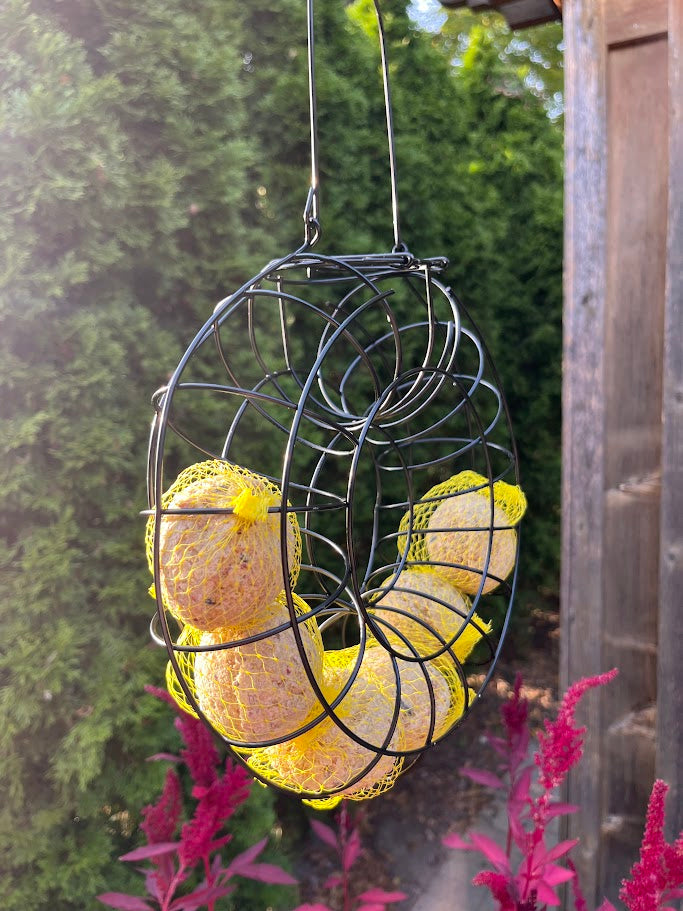 Bird feeder with yellow suet balls hanging outdoors