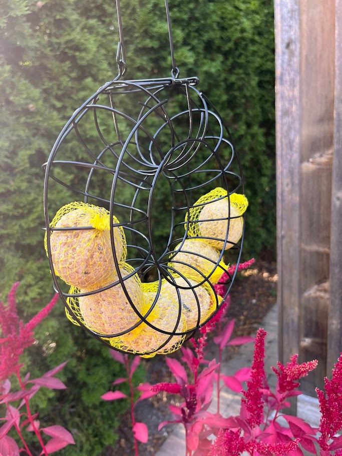 Black wire bird feeder with yellow and orange seeds hanging outdoors.