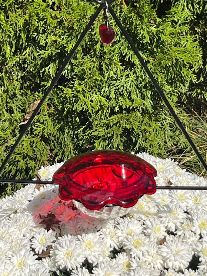 Red hummingbird feeder hanging among white flowers with green foliage in the background