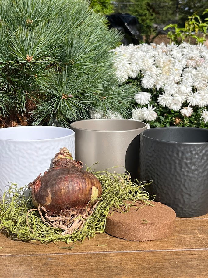 Three flower pots on a wooden surface with a natural background