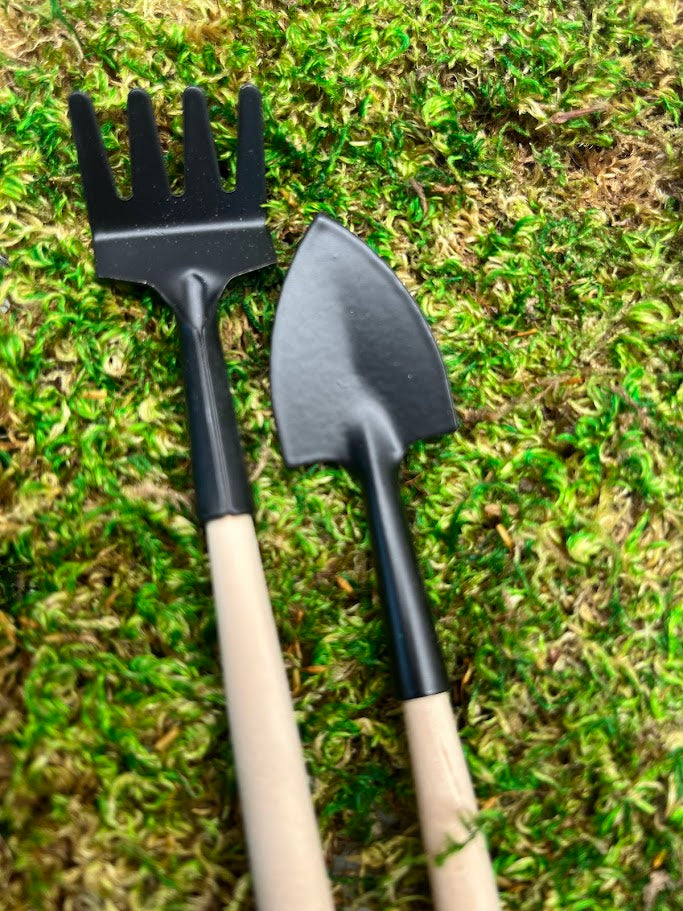 plant terrarium tools Terrarium 4 Piece Tool Kit