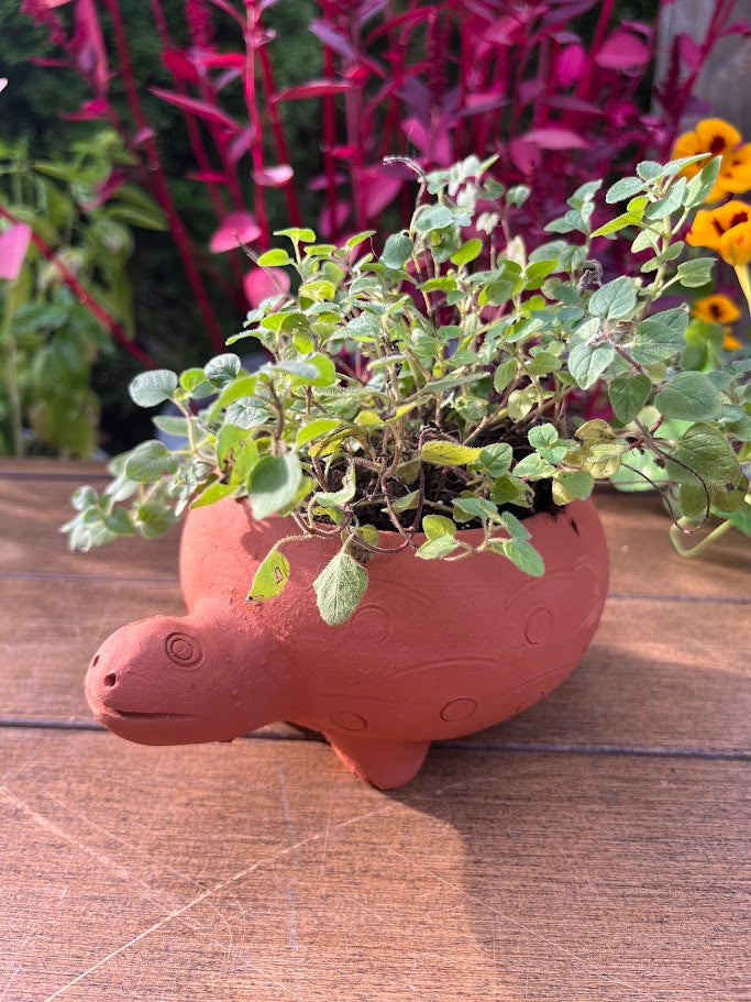 4 litre plant pots Pottery Planter