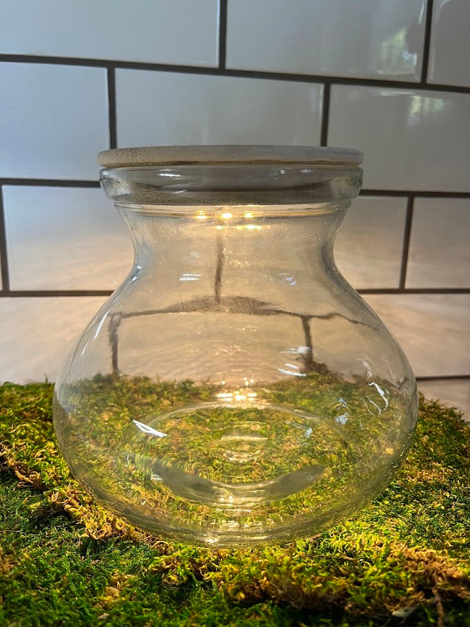 plant terrarium lamp SSI Ssi5416069194 6 In. Terrarium Vase with Lid & Light